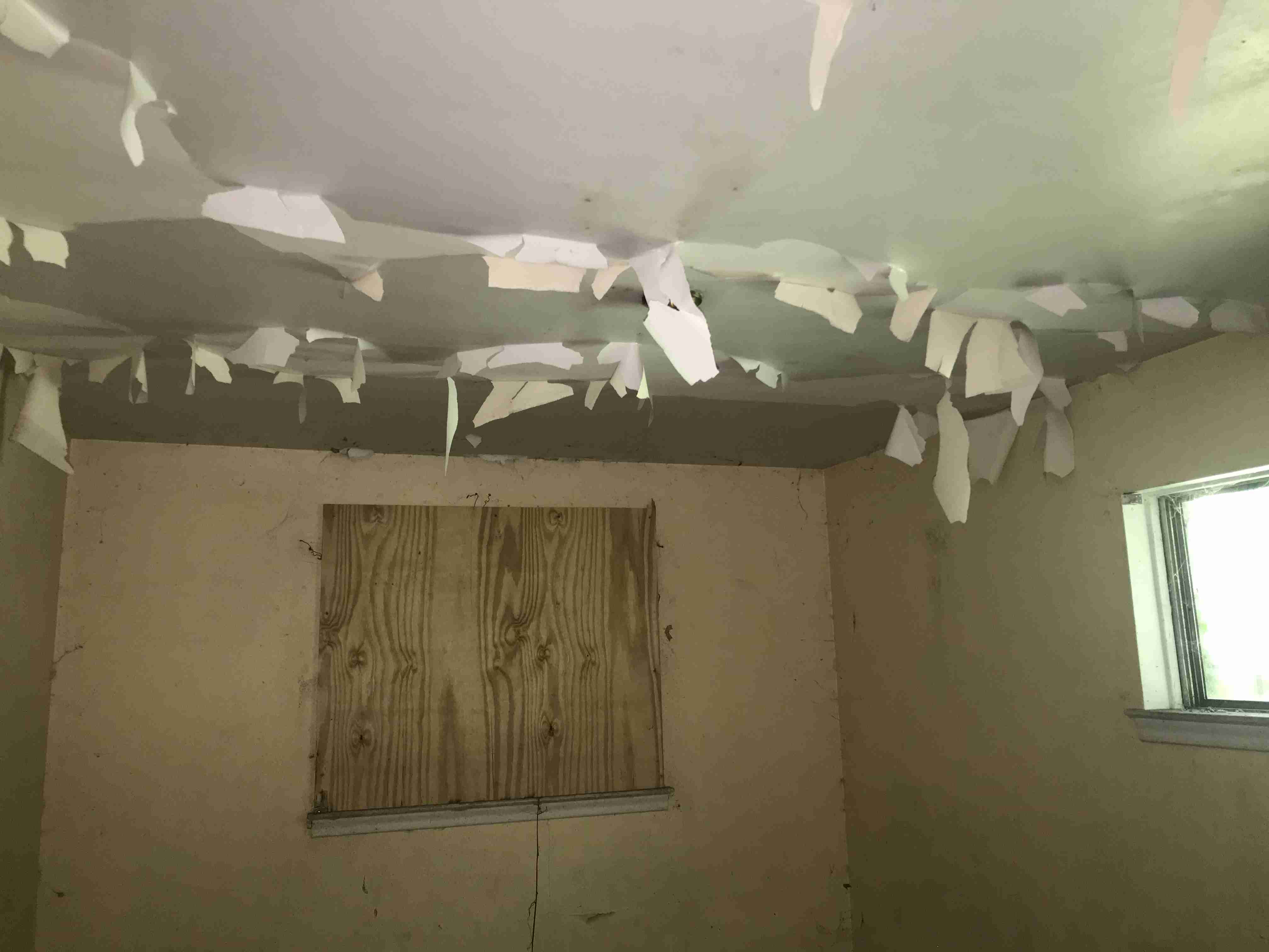 Photo Aug 21, 1 29 52 PM.jpg